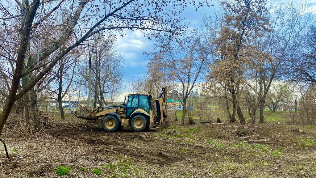Фото: Администрация Барнаула