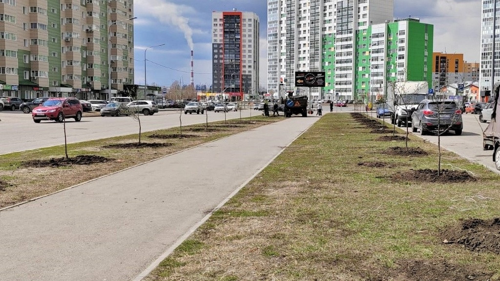 Фото: Администрация Барнаула