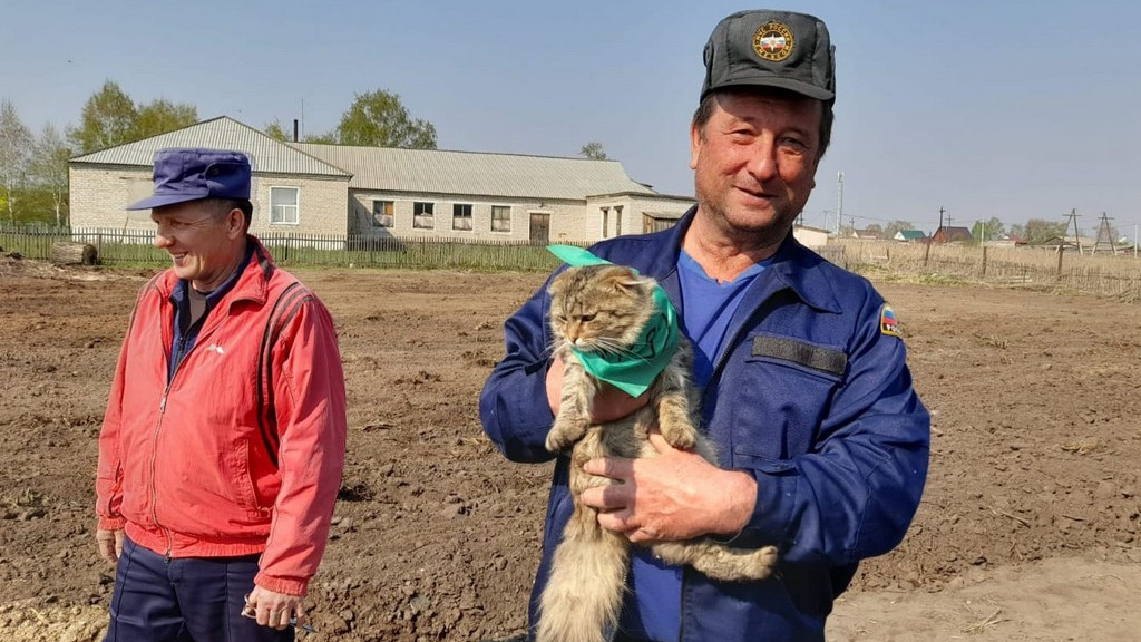 В Каменском районе детсадовцы и кот Василий заложили парк Фото №4