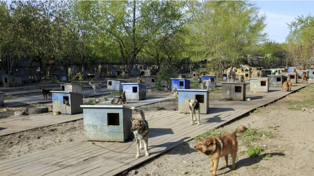 Фото: мэрия Барнаула