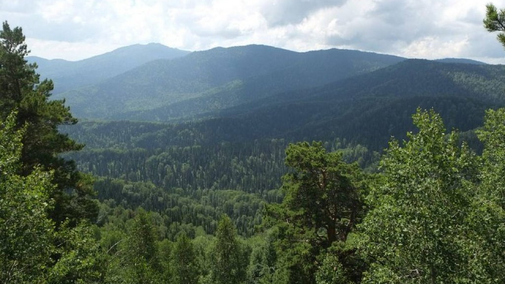 Новая экологическая тропа появилась в Алтайском крае Фото №1
