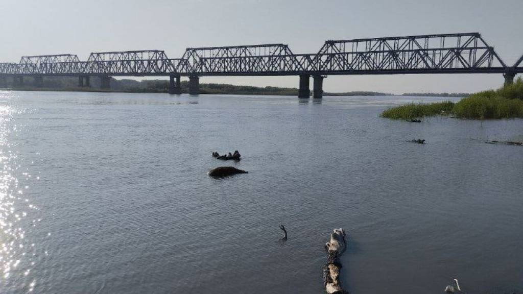 Фото: «Каменские новости»