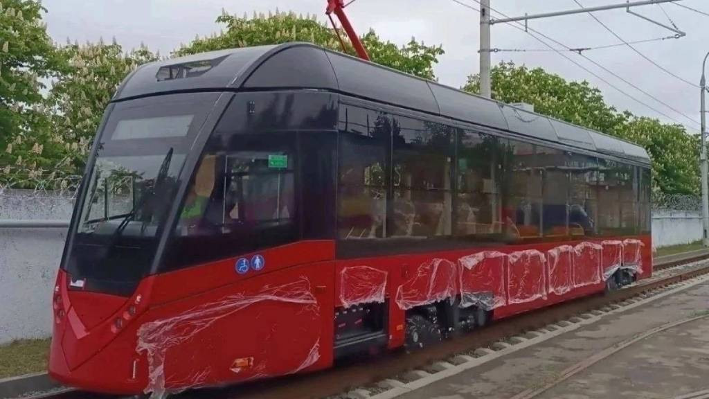 Фото: Татьяна Гулидова