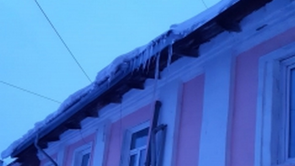 Фото: СК по Алтайскому краю.