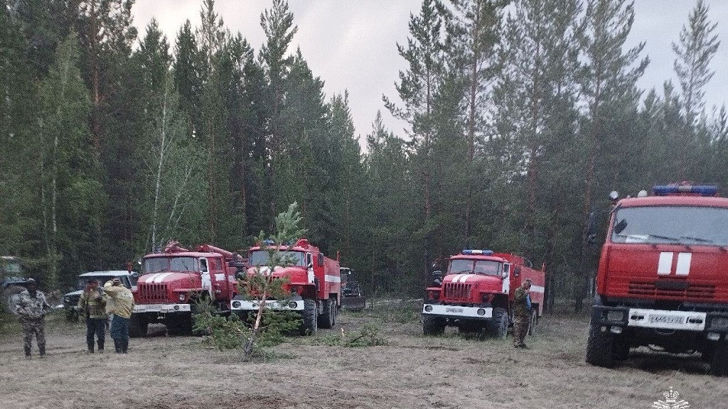 Фото: ГУ МЧС по АК