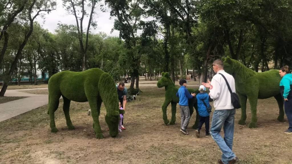 Фото: «Бийский рабочий»