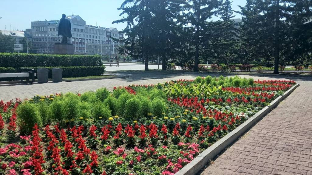 В Барнауле подходят к завершению работы по высадке однолетних растений Фото №1