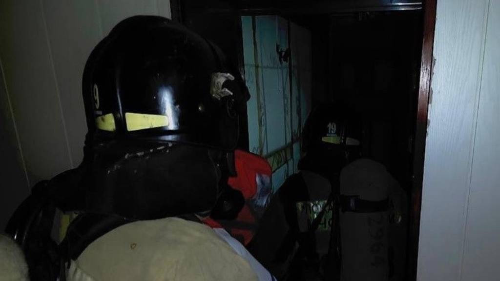 Фото: ГУ МЧС России по Алтайскому краю