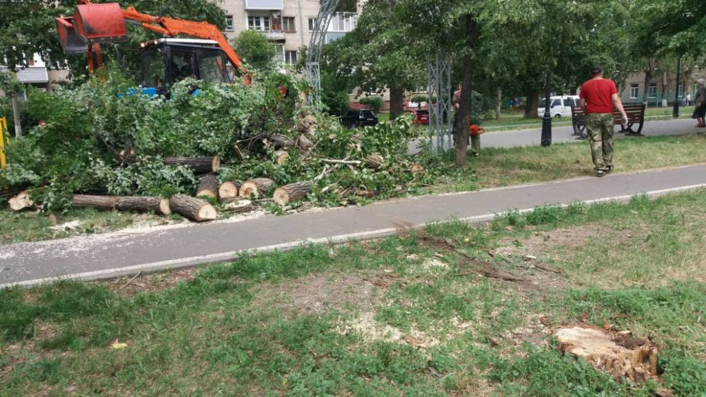 Фото: мэрия Барнаула