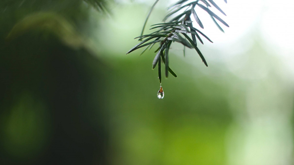 Фото: unsplash.com