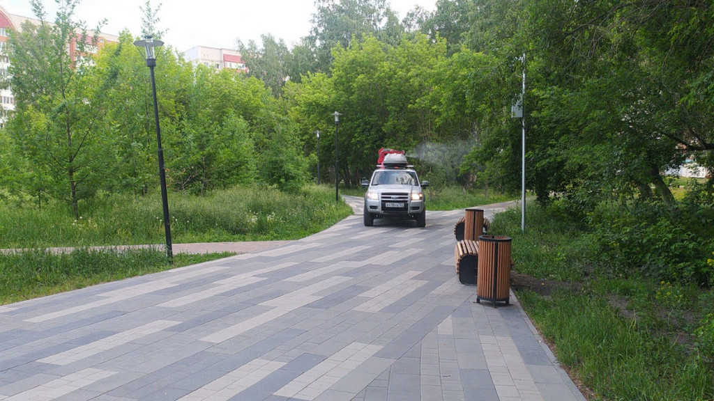 Фото: Администрация Барнаула