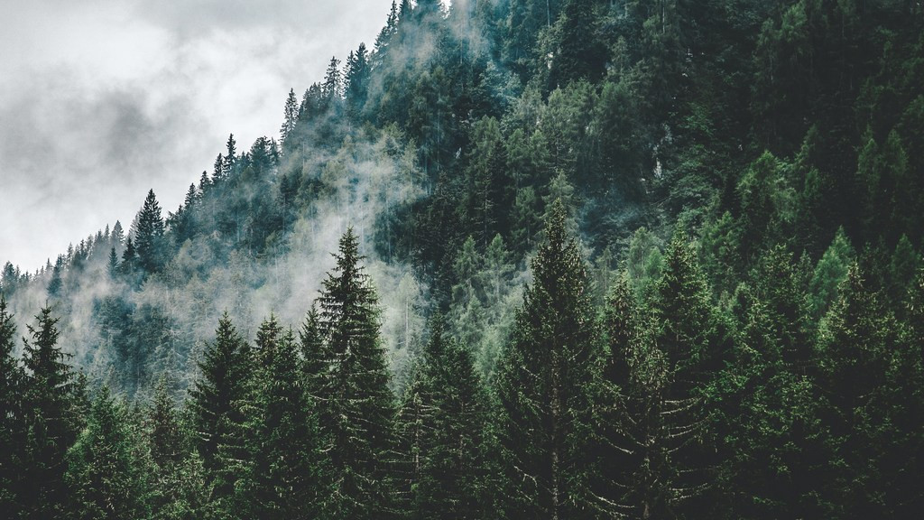 Фото: unsplash.com