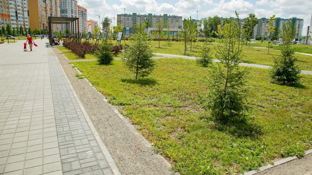 Фото: Администрация Барнаула