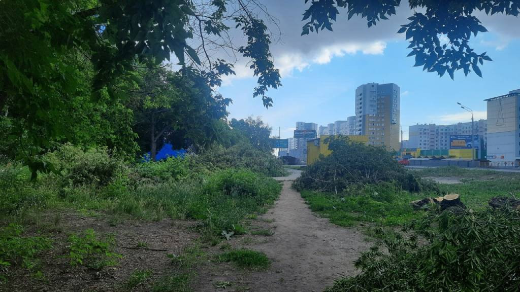 Фото: «Инцидент Барнаул»