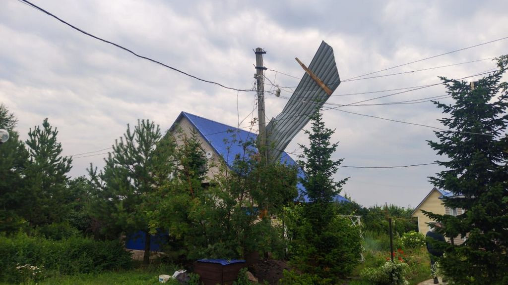 Фото: Россети