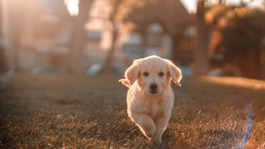 Фото: unsplash.com