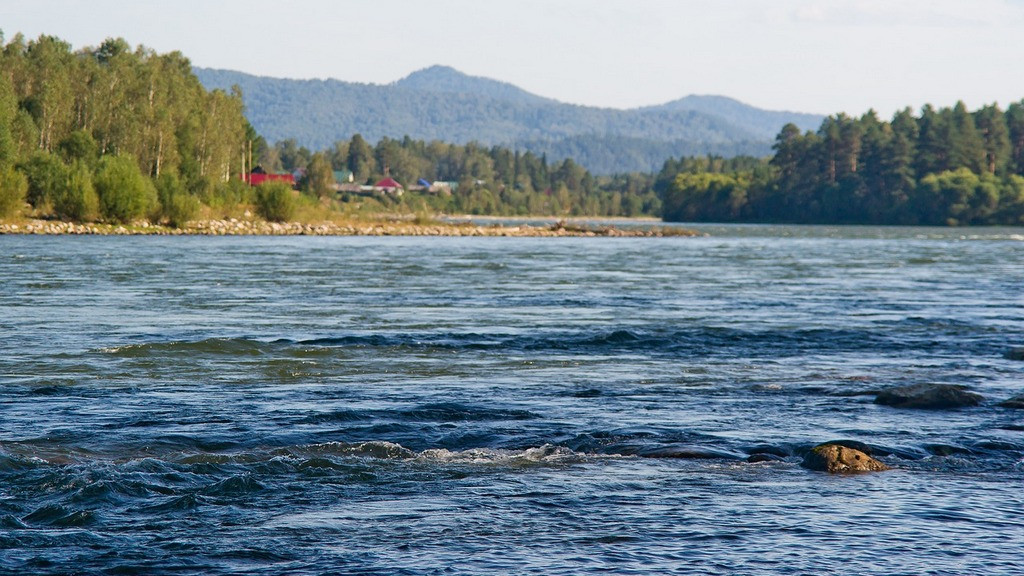 Фото: pixabay.com