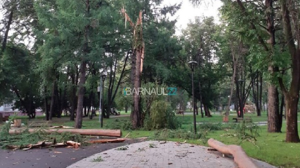 Фото: сообщество