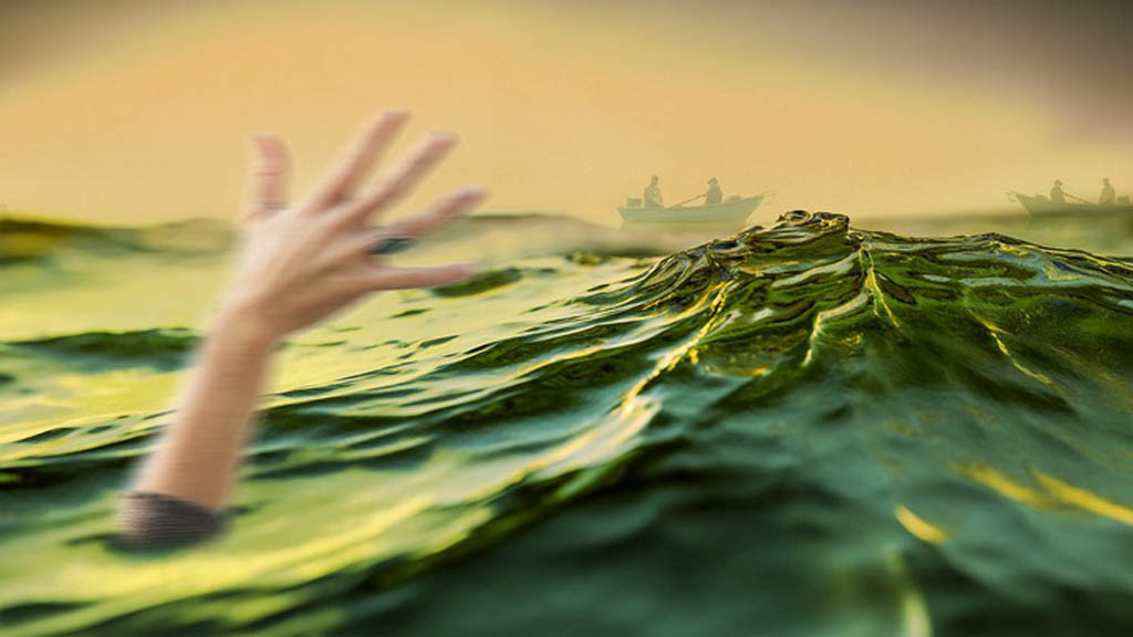 Фото: pixabay.com