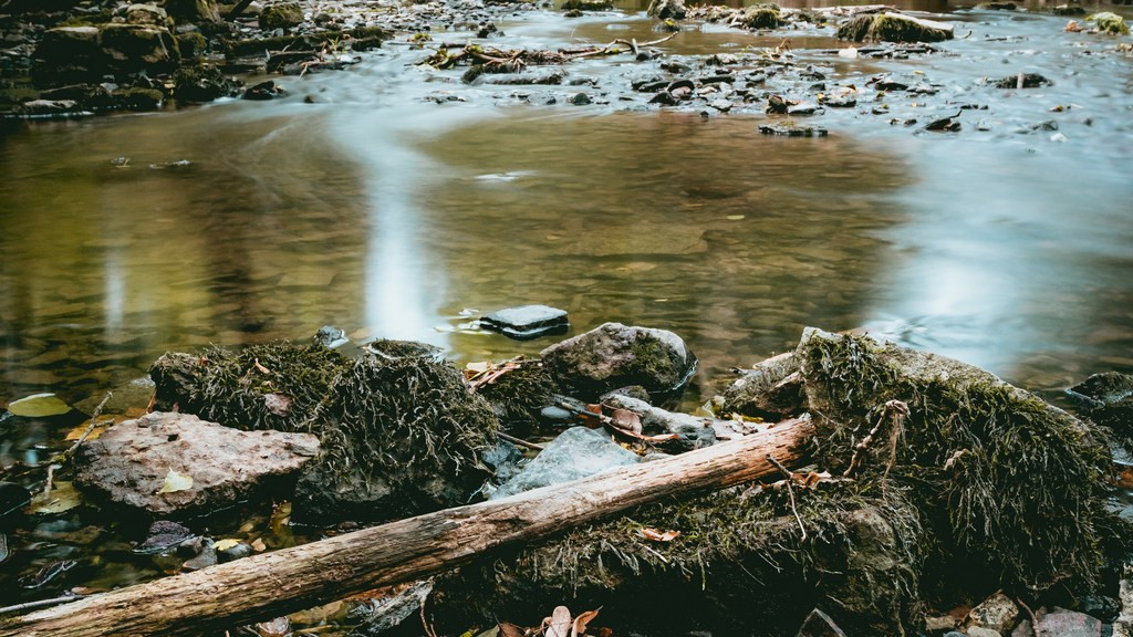Фото: unsplash.com