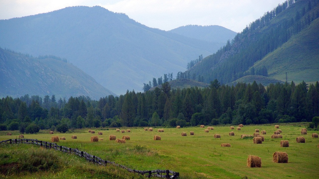 Фото: pixabay.com
