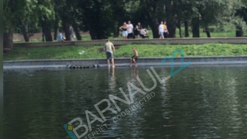 Фото: Barnaul 22