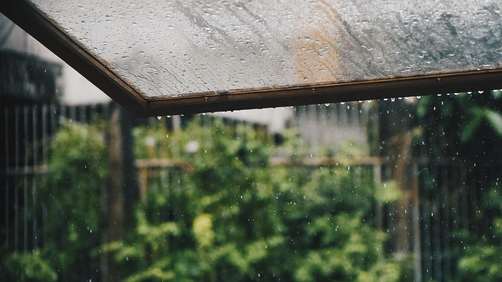 Фото: unsplash.com