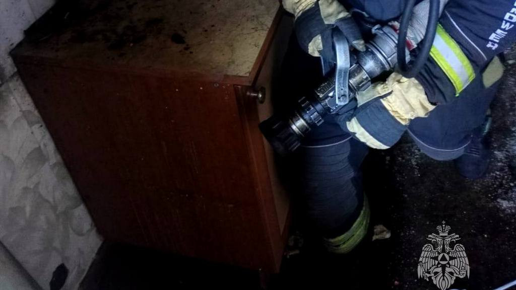 Фото: ГУ МЧС России по Алтайскому краю
