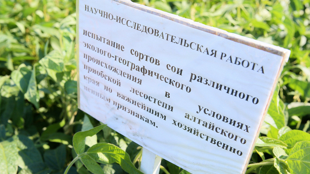 Фото: Антон Федотов