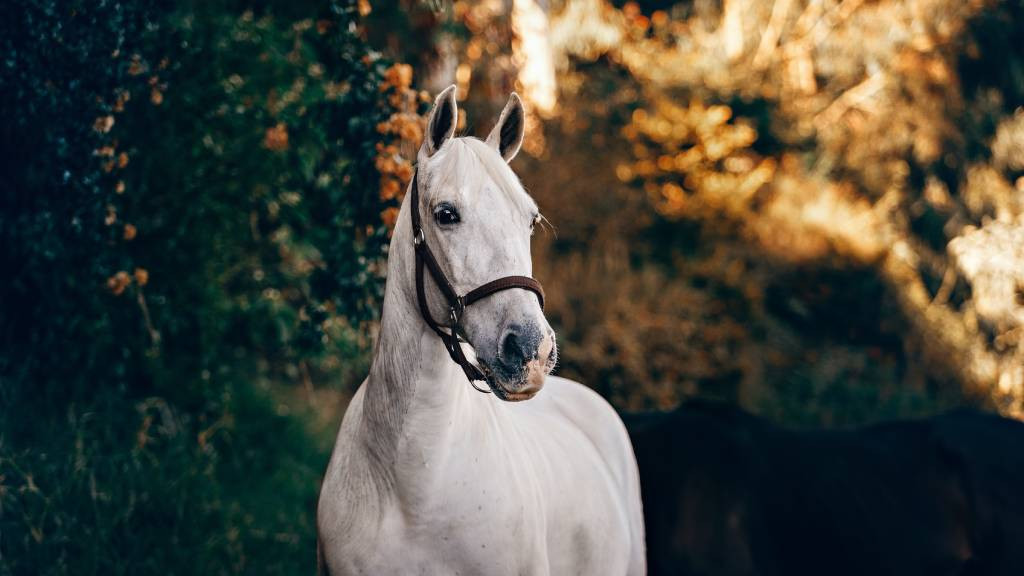 Фото: unsplash.com