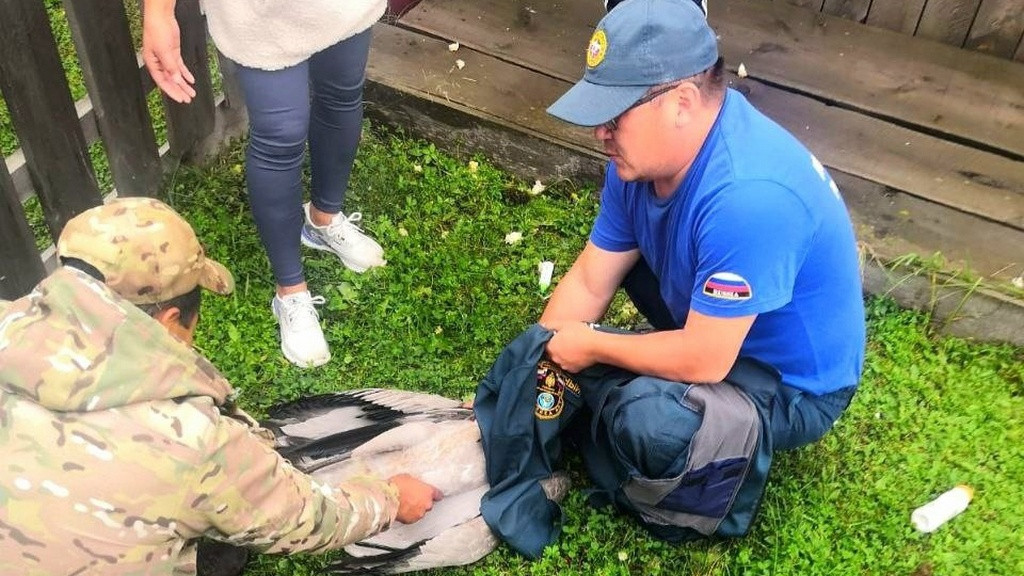 Фото: Управление ГОЧС и ПБ в Республике Алтай