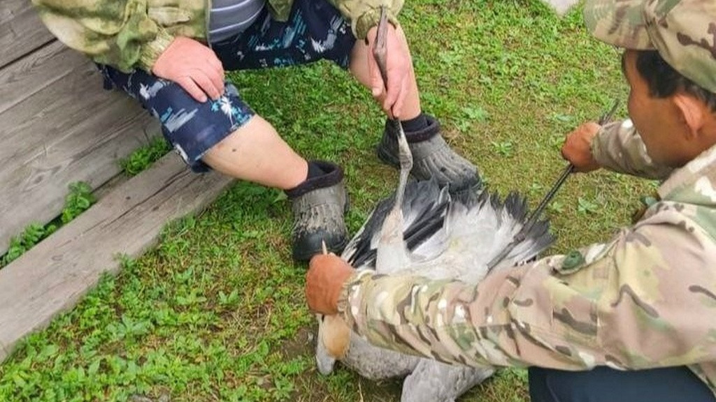 Фото: Управление ГОЧС и ПБ в Республике Алтай