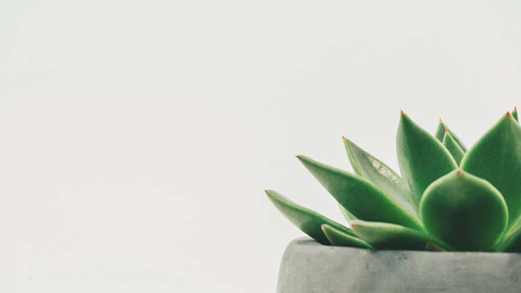 Фото: unsplash.com