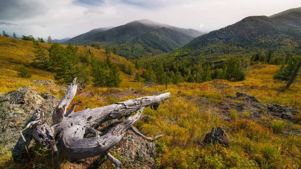 Фото: П. Силиненко
