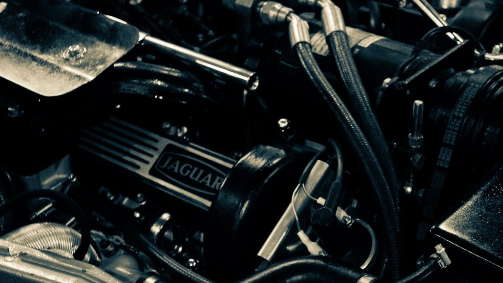Фото: unsplash.com