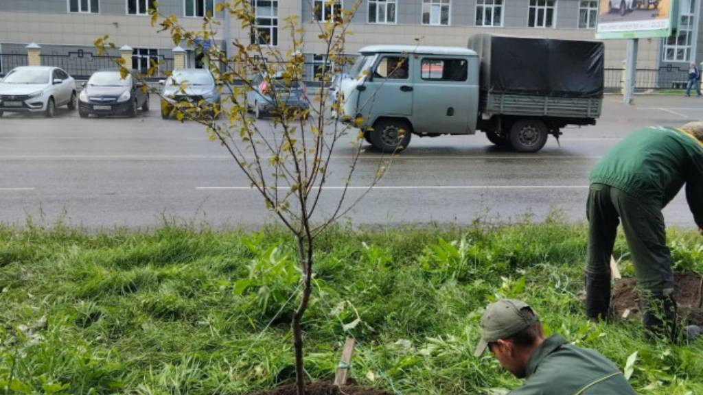 Фото: мэрия Барнаула