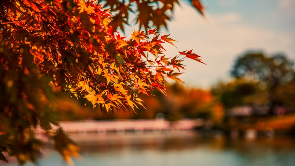Фото: unsplash.com