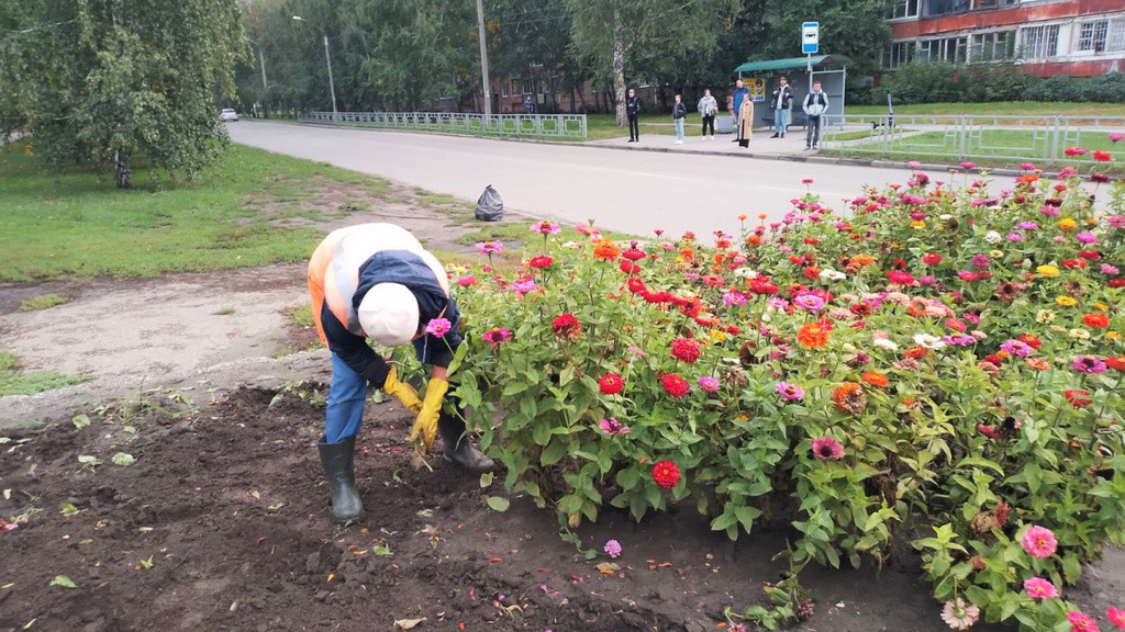 Фото: Администрация Барнаула