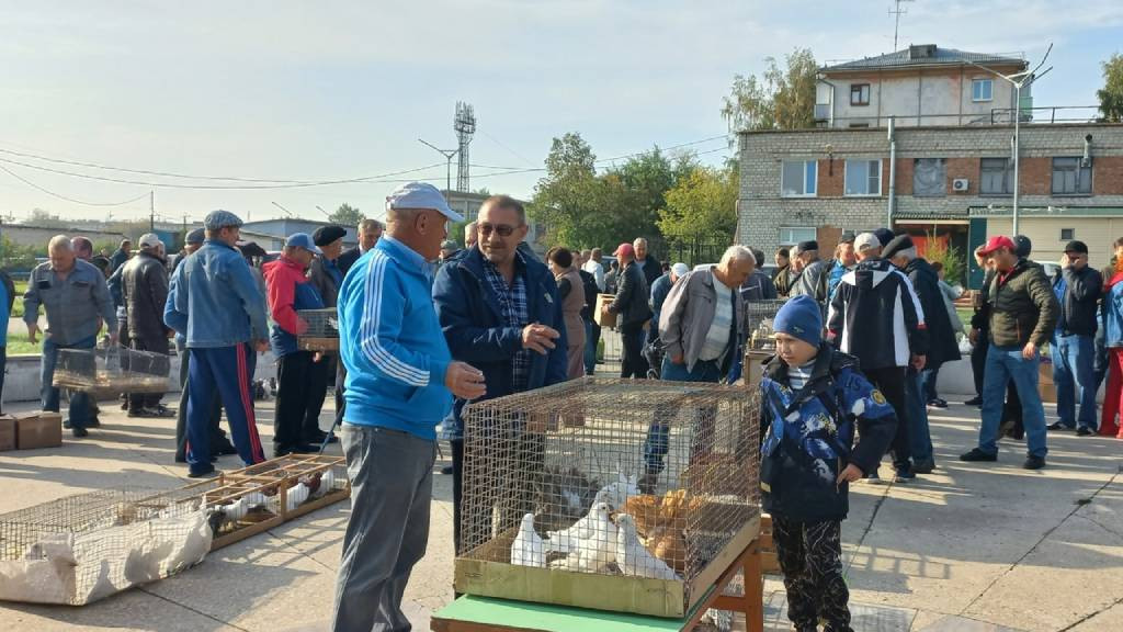 Фото: мэрия Рубцовска