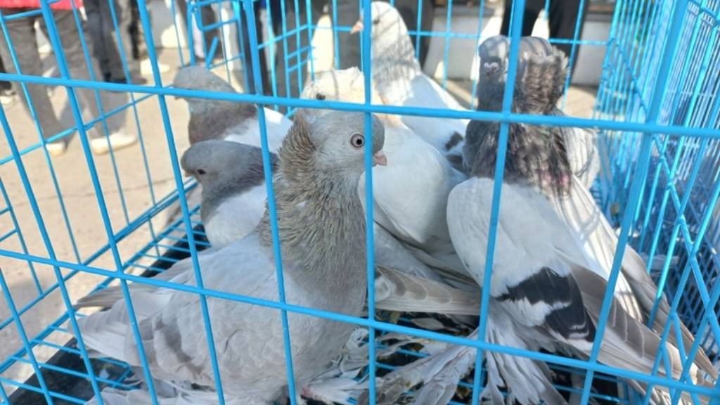Фото: мэрия Рубцовска