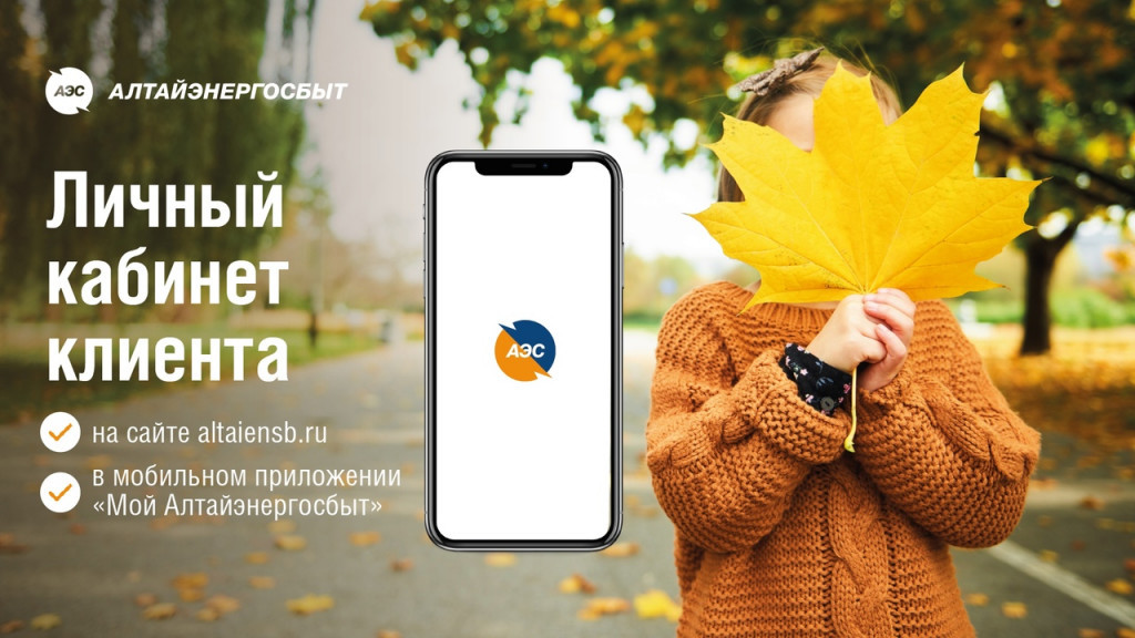 «Алтайэнергосбыт»: показания счётчиков и оплата в пару кликов Фото №1