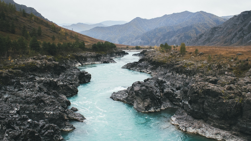 Фото: unsplash.com