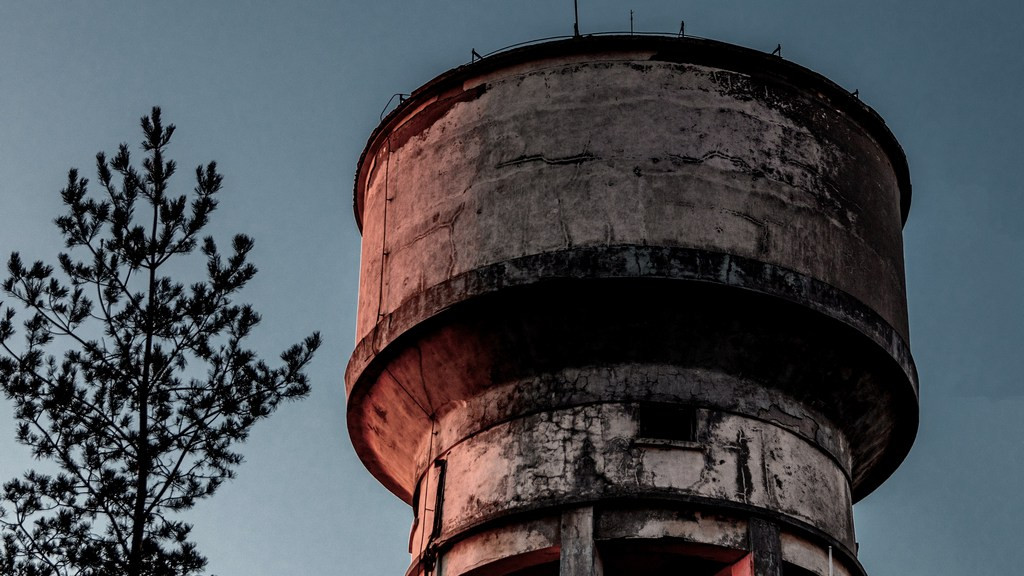 Фото: unsplash.com