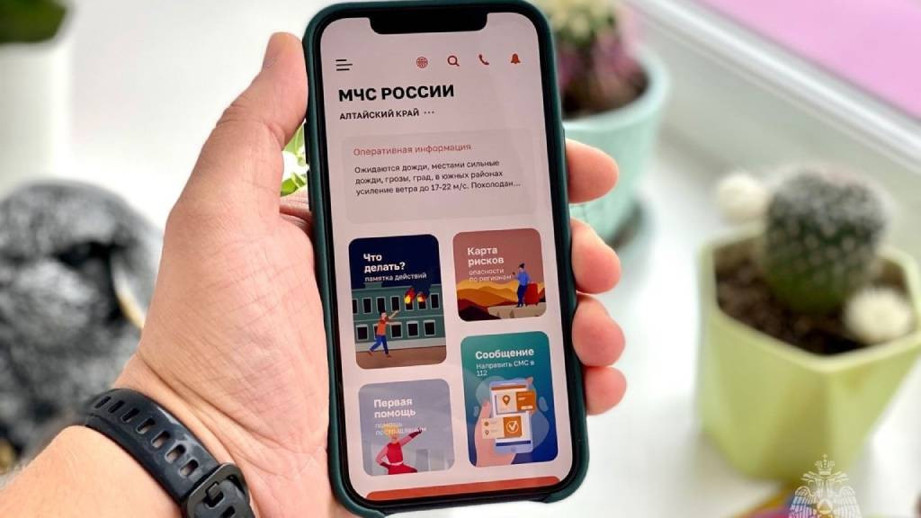 Фото: ГУ МЧС России по Алтайскому краю