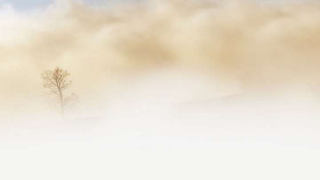 Фото: pixbay.com