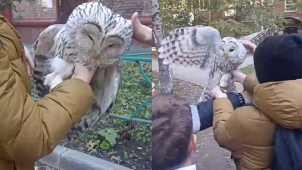 Кадры из видео