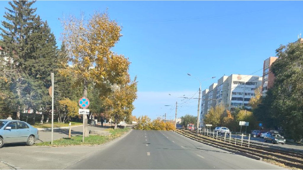 В центре Барнаула упавшее дерево полностью перекрыло проезжую часть Фото №2