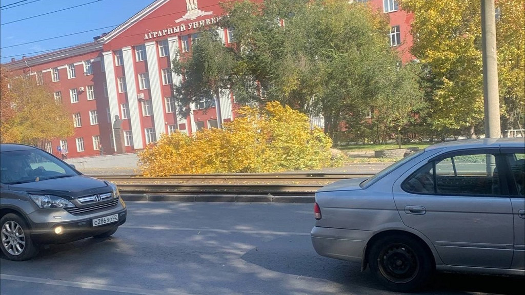 Фото: сообщество