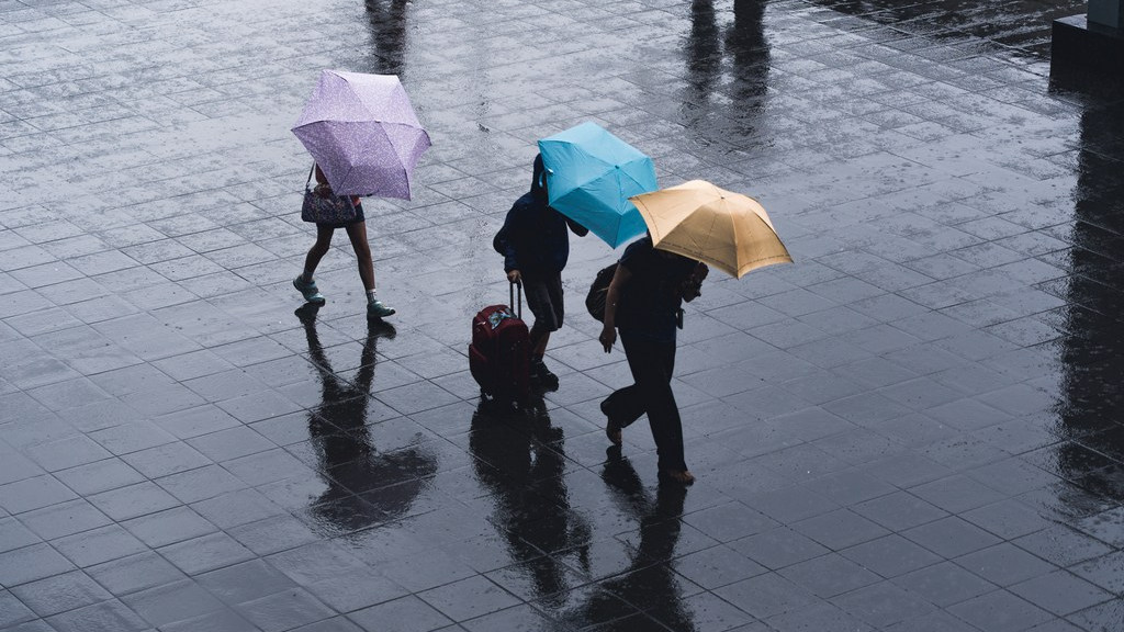 Фото: unsplash.com