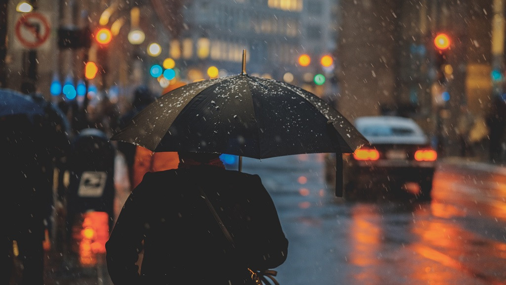 Фото: unsplash